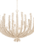 Pedrillo Chandelier