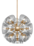 Salix