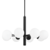 Stella (OB)